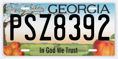 GA license plate PSZ8392