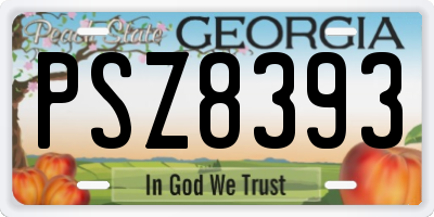 GA license plate PSZ8393