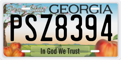 GA license plate PSZ8394