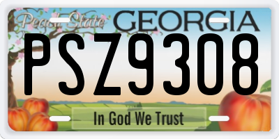 GA license plate PSZ9308