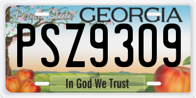 GA license plate PSZ9309