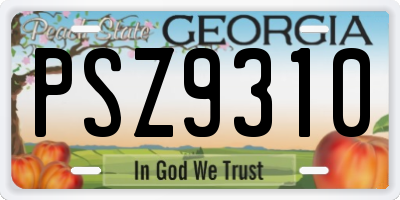 GA license plate PSZ9310