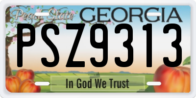 GA license plate PSZ9313
