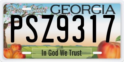 GA license plate PSZ9317