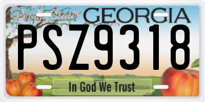 GA license plate PSZ9318