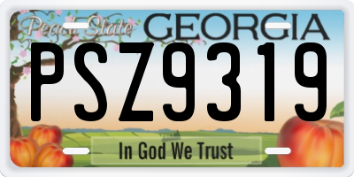 GA license plate PSZ9319