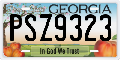 GA license plate PSZ9323