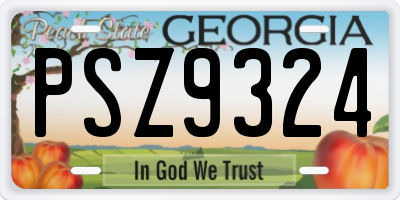 GA license plate PSZ9324