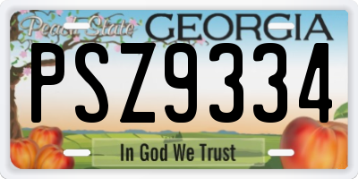 GA license plate PSZ9334
