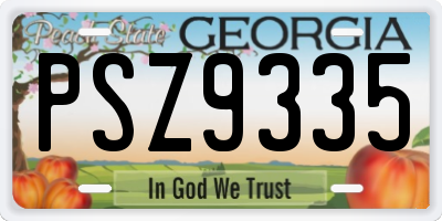 GA license plate PSZ9335