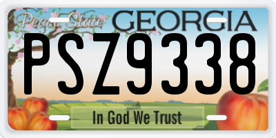GA license plate PSZ9338