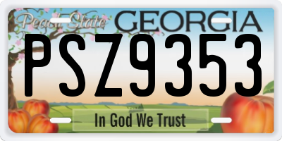 GA license plate PSZ9353