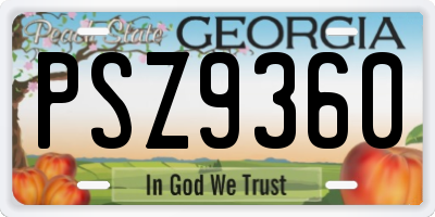 GA license plate PSZ9360
