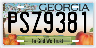 GA license plate PSZ9381