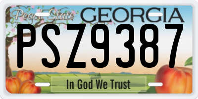 GA license plate PSZ9387