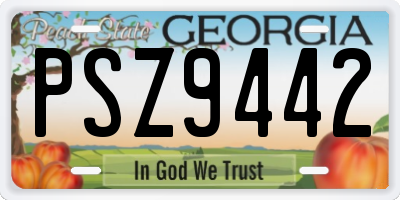 GA license plate PSZ9442