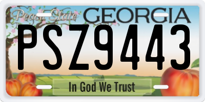 GA license plate PSZ9443
