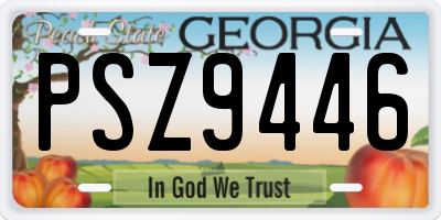 GA license plate PSZ9446