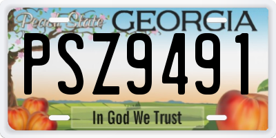 GA license plate PSZ9491