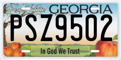 GA license plate PSZ9502
