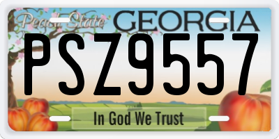 GA license plate PSZ9557