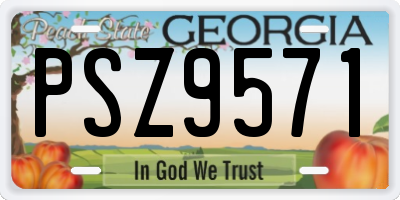 GA license plate PSZ9571