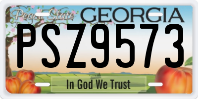 GA license plate PSZ9573