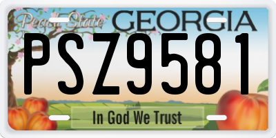 GA license plate PSZ9581