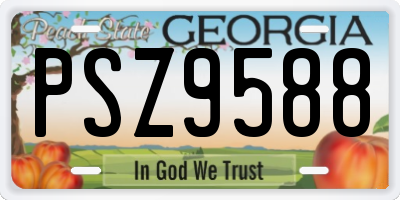 GA license plate PSZ9588