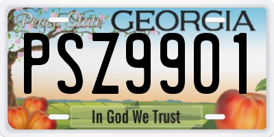 GA license plate PSZ9901