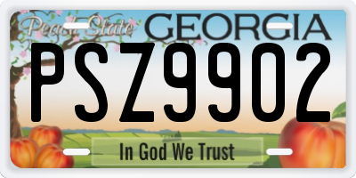 GA license plate PSZ9902