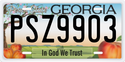 GA license plate PSZ9903