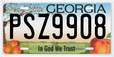 GA license plate PSZ9908