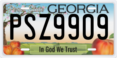 GA license plate PSZ9909