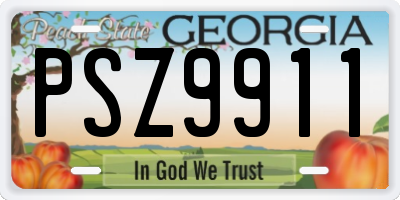 GA license plate PSZ9911