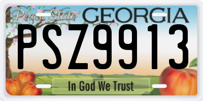GA license plate PSZ9913