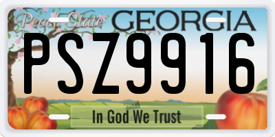 GA license plate PSZ9916