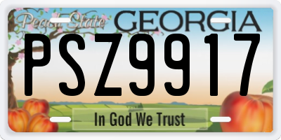 GA license plate PSZ9917