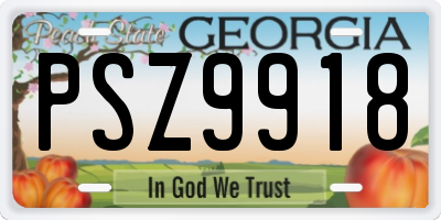 GA license plate PSZ9918