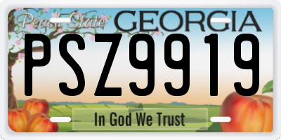 GA license plate PSZ9919