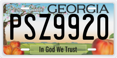 GA license plate PSZ9920