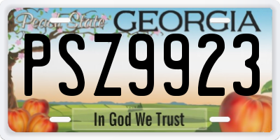 GA license plate PSZ9923