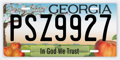 GA license plate PSZ9927