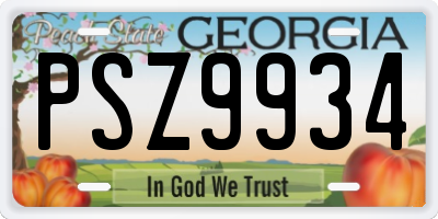 GA license plate PSZ9934