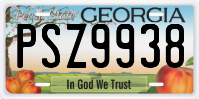 GA license plate PSZ9938