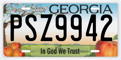 GA license plate PSZ9942