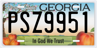 GA license plate PSZ9951