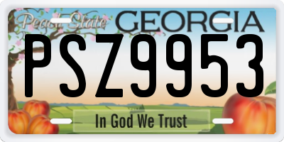 GA license plate PSZ9953