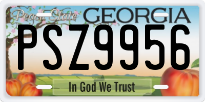 GA license plate PSZ9956