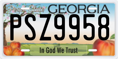 GA license plate PSZ9958